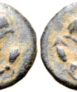 Rhodos, Rhodes Æ 11mm. Circa 205-188 BC - Image 3