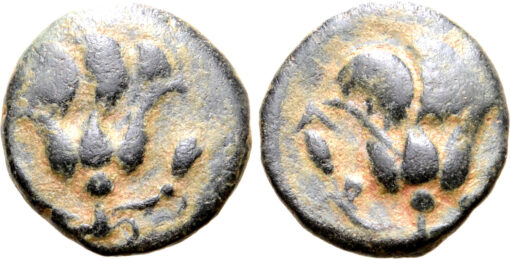 Rhodos, Rhodes Æ 11mm. Circa 205-188 BC - Image 3