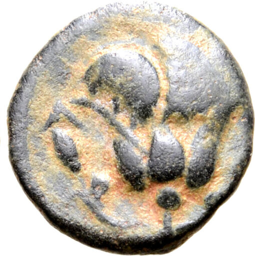 Rhodos, Rhodes Æ 11mm. Circa 205-188 BC - Image 2