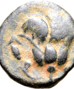 Alternative view of Rhodos, Rhodes Æ 11mm. Circa 205-188 BC