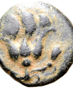 Rhodos, Rhodes Æ 11mm. Circa 205-188 BC